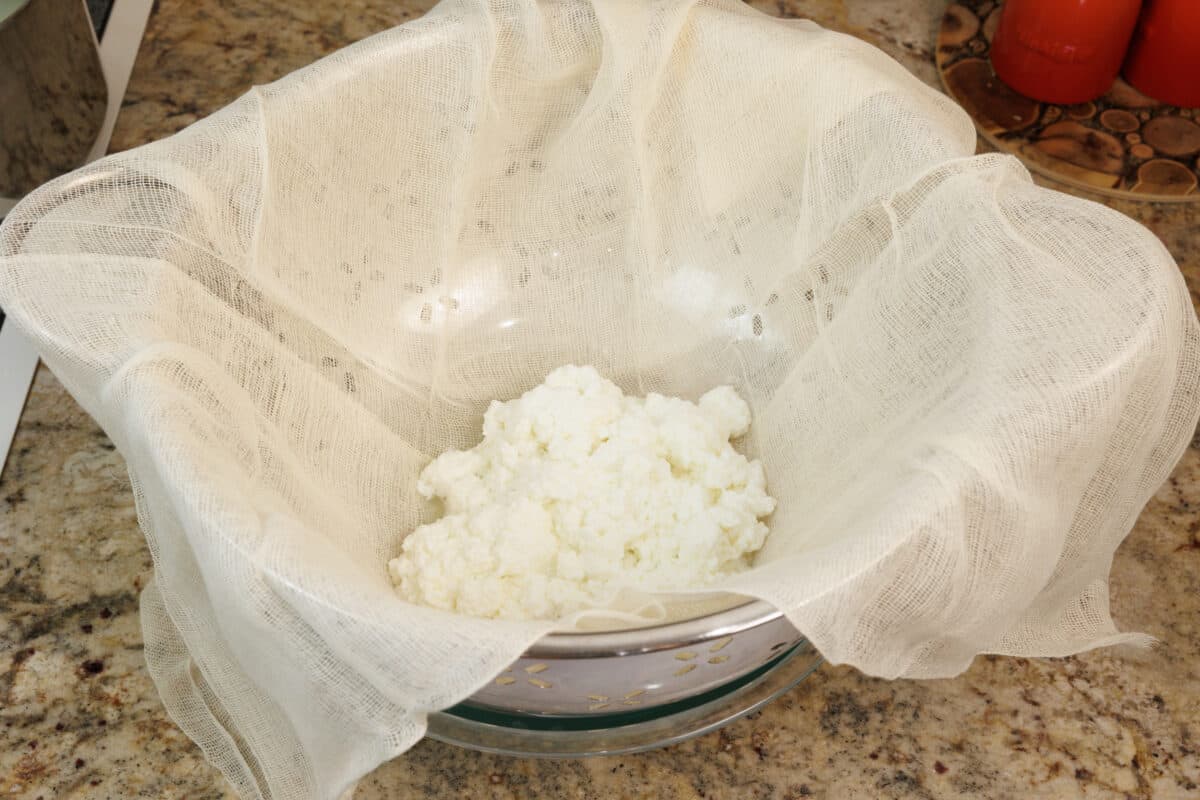 cheese curds in a colander lined with cheesecloth.
