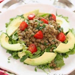 lentil salad with avocados and tomatoes