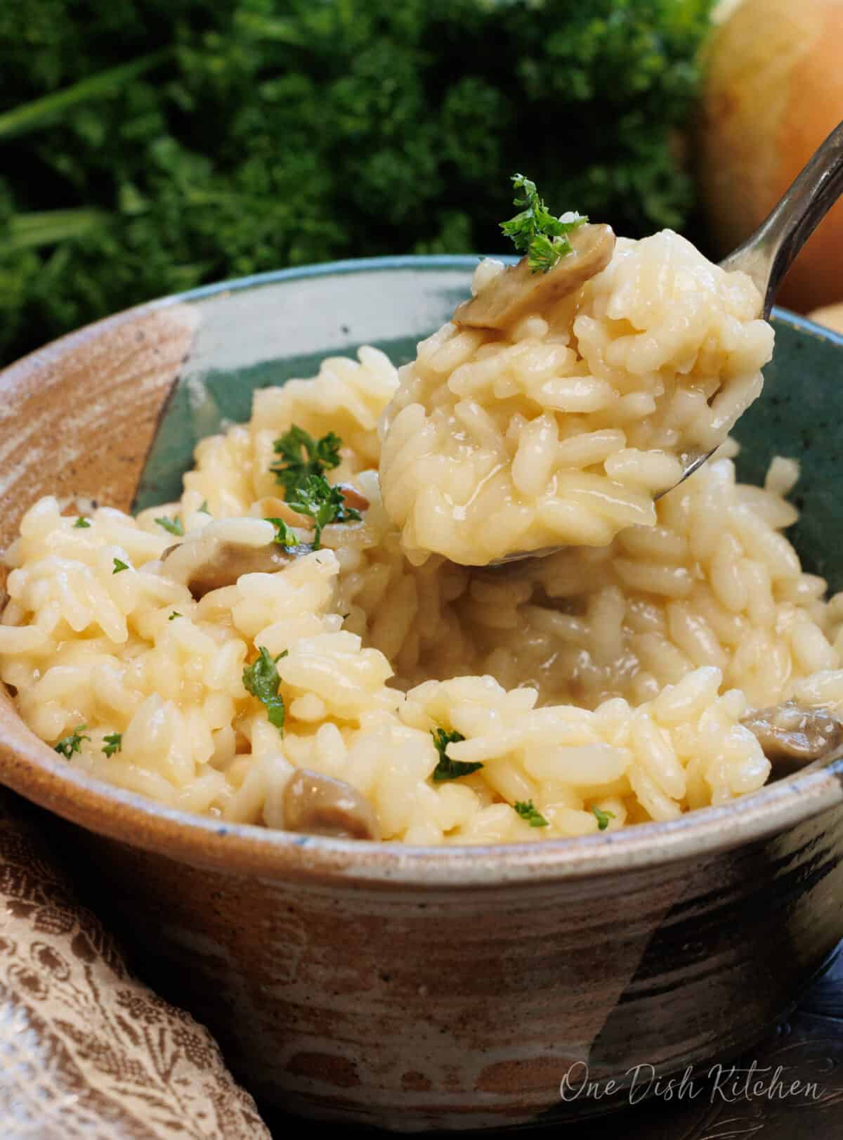 a spoonful of mushroom risotto over a bowl.