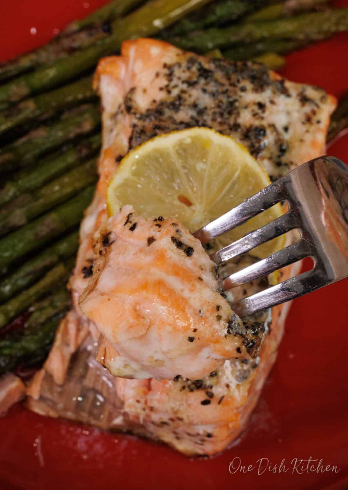 cutting into a piece of salmon with a fork