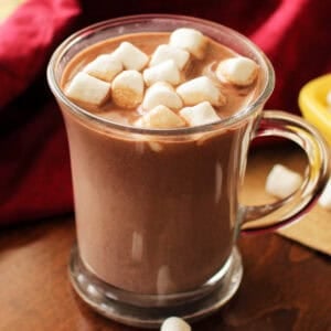 a mug of rich, creamy hot chocolate topped with soft marshmallows.