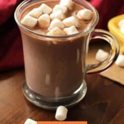 a mug of hot chocolate topped with marshmallows.