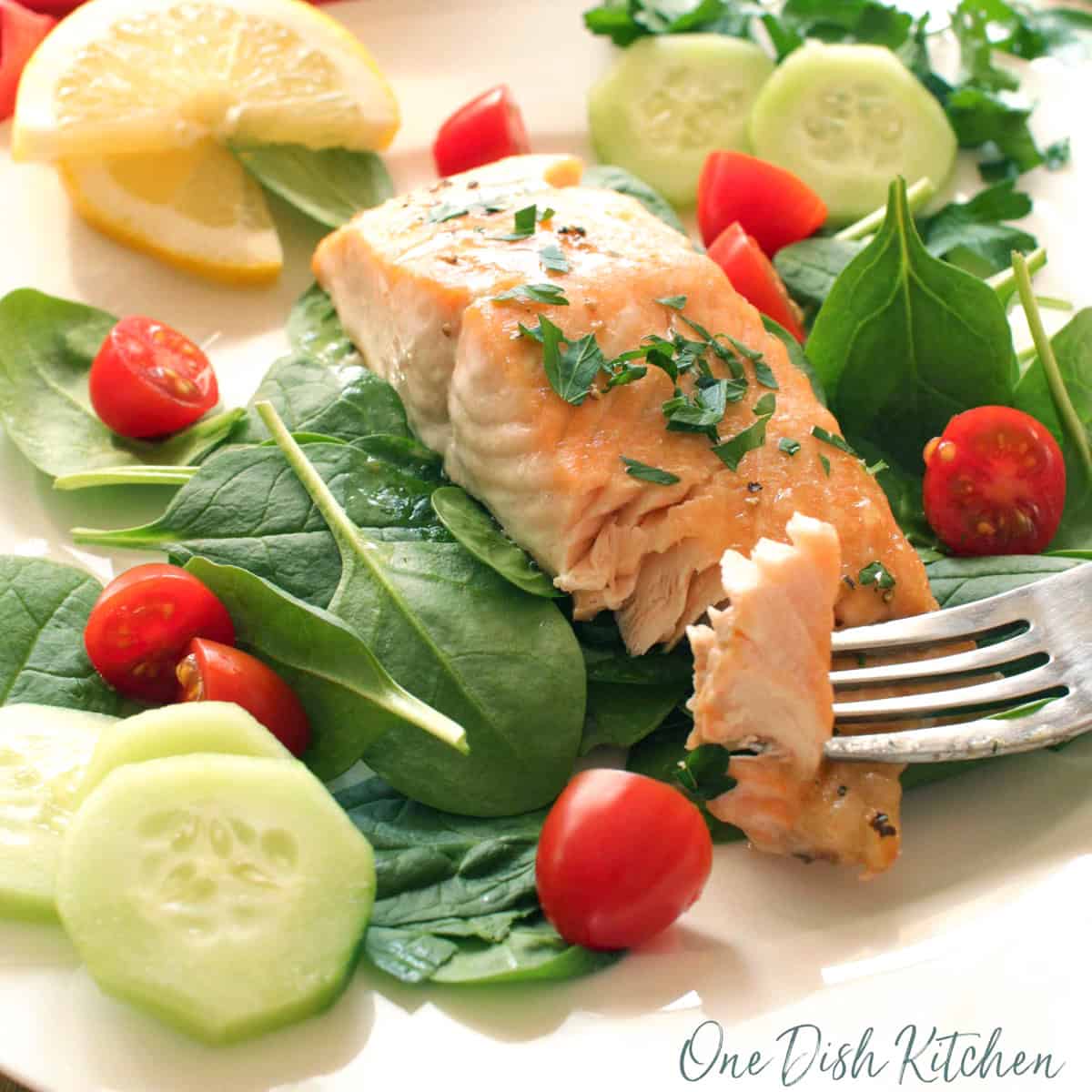 roasted salmon fillet on a bed of fresh spinach with a fork on the side of the plate.