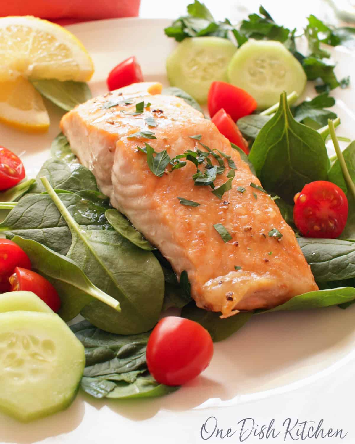 a salmon fillet on a white plate.