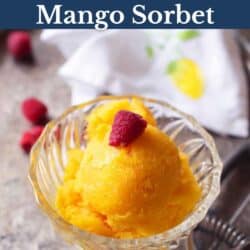 mango sorbet in a dessert bowl topped with fresh raspberries.