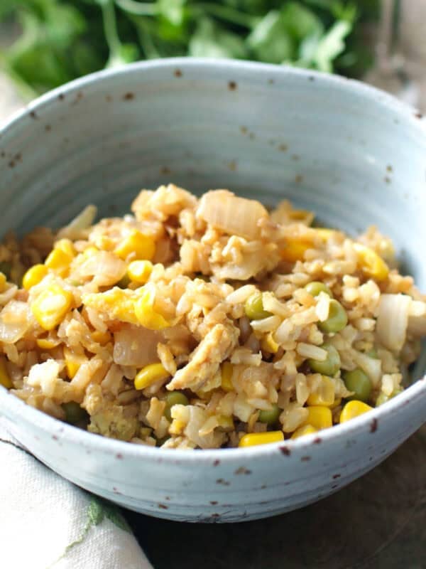 a spoonful of fried rice with bits of onions on the top.