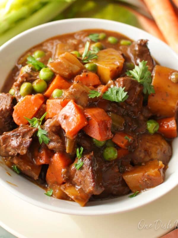 beef stew for one person in a white bowl.