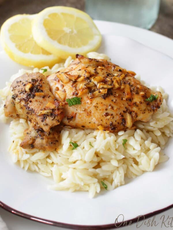 lemon garlic chicken on a bed of cooked orzo pasta