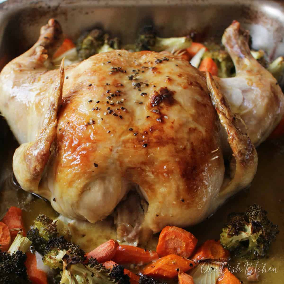 a roasted chicken on top of vegetables in a roasting pan.