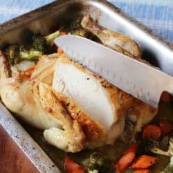a whole chicken roasted on a bed of vegetables in a baking pan.