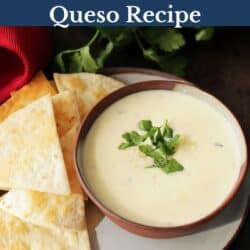 a bowl of white queso next to tortilla chips.