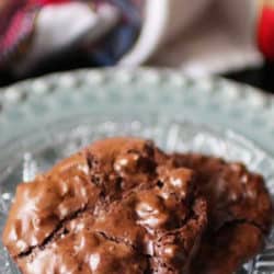 flourless chocolate cookies | one dish kitchenThese flourless chocolate cookies are amazing! Rich, chewy, fudge-like, and loaded with pecans. This easy to make small batch recipe yields 5-6 irresistible chocolate pecan cookies. Made with cocoa powder, powdered sugar & chopped pecans. No flour, no butter, no oil needed.