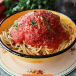 a bowl of pomodoro sauce over spaghetti.