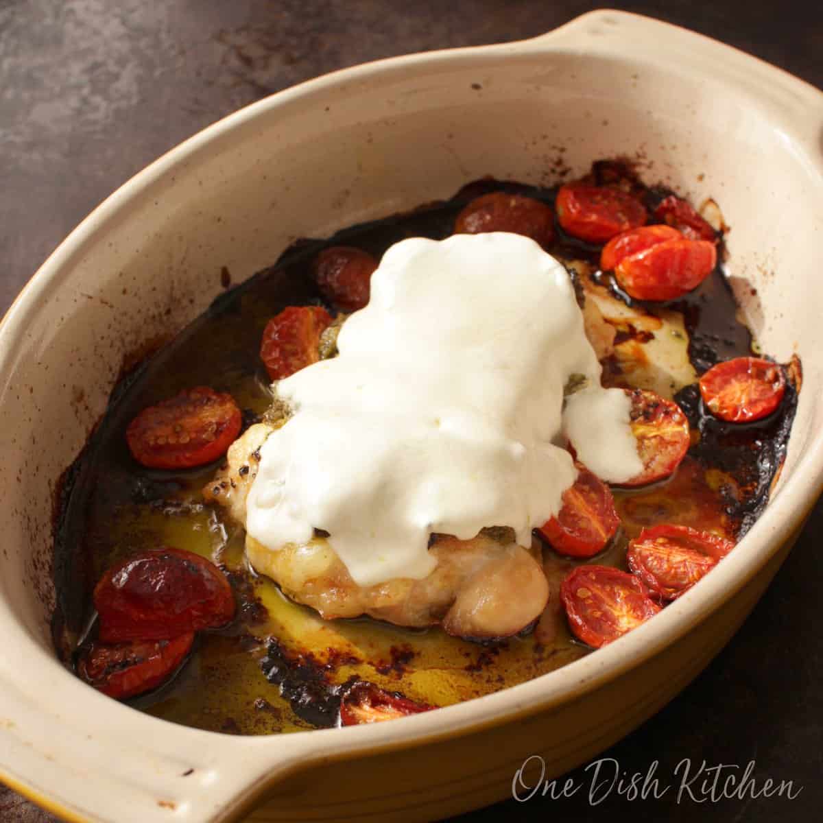 Chicken Margherita topped with melted mozzarella in a baking dish with roasted cherry tomato halves