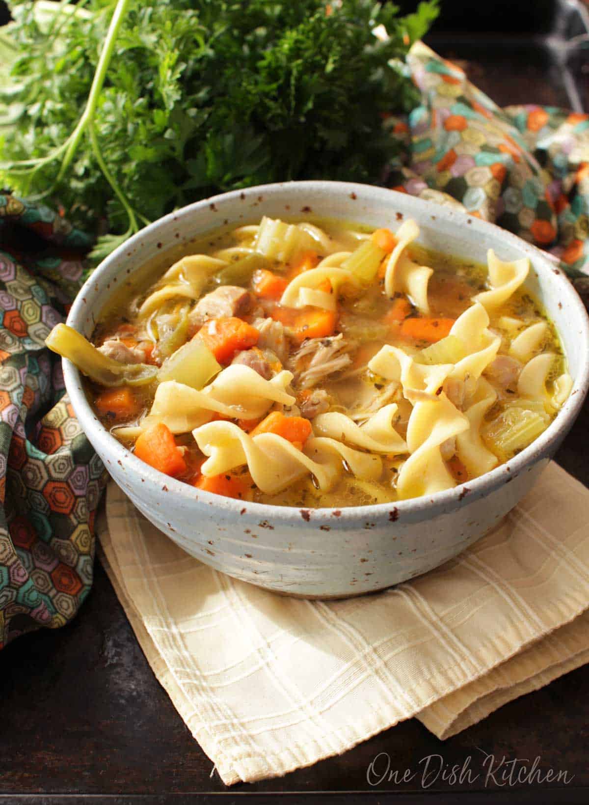 https://onedishkitchen.com/wp-content/uploads/2019/10/instant-pot-chicken-noodle-soup-1b.jpg