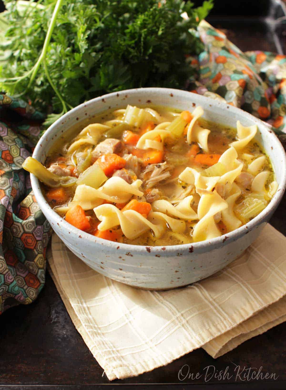 A bowl of chicken noodle soup next to fresh parsley.