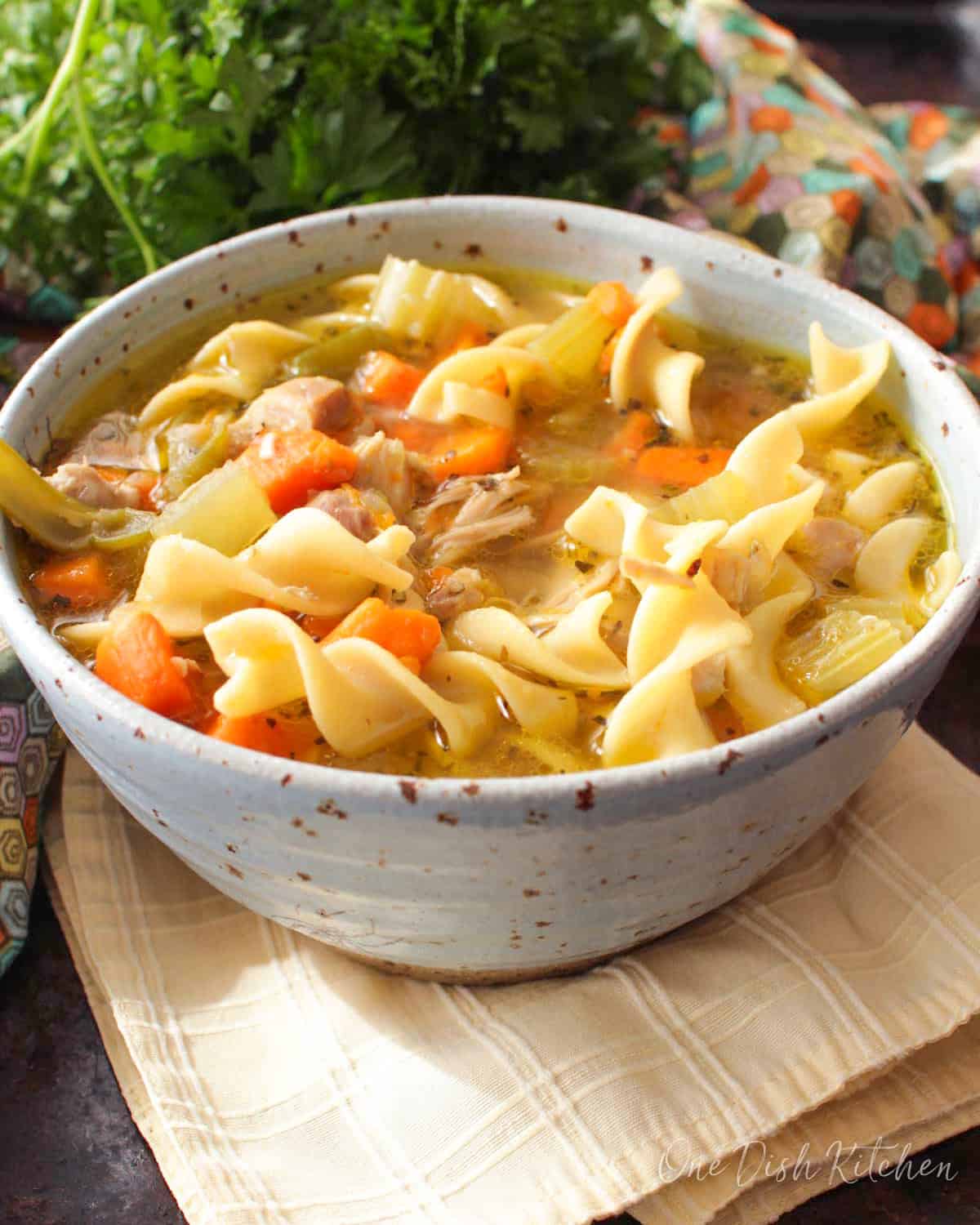 Single serving Instant Pot chicken noodle soup in a bowl.