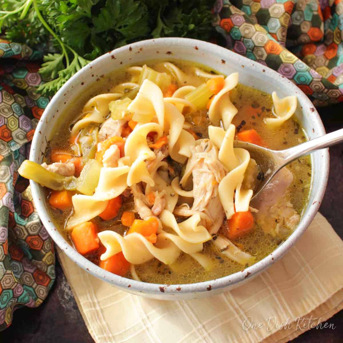 Bowl of single serving Instant Pot chicken noodle soup ready to serve.