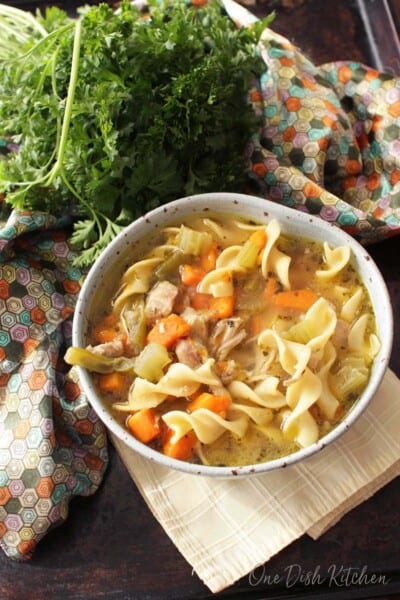 Instant Pot Chicken Noodle Soup | Single Serving | One Dish Kitchen