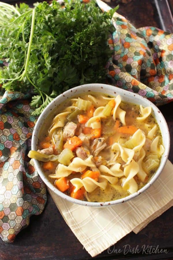 Instant Pot Chicken Noodle Soup Recipe - Single Serving - One Dish Kitchen