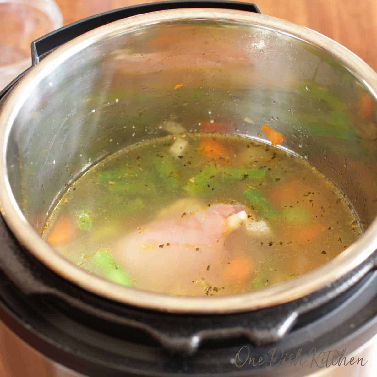 Adding chicken broth and a chicken breast or thigh to an instant pot for making chicken noodle soup.