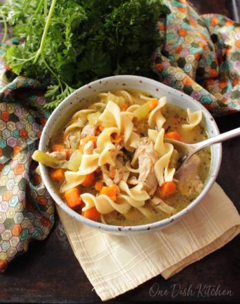 Instant Pot Chicken Noodle Soup Recipe - Single Serving - One Dish Kitchen