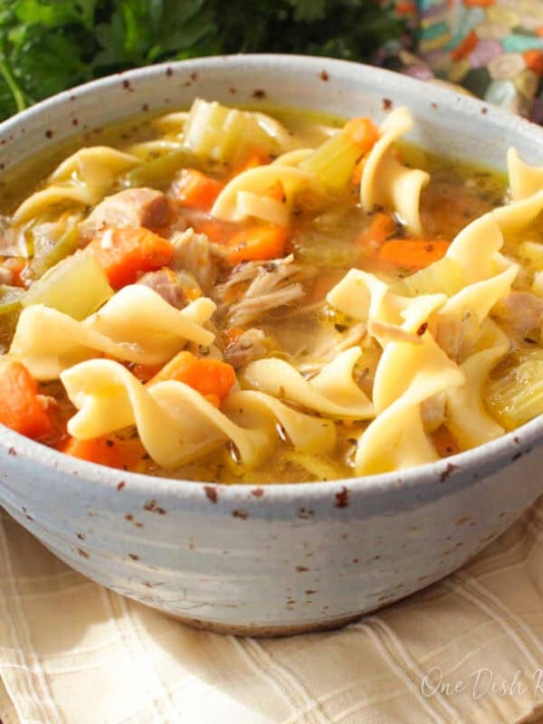 Single serving Instant Pot chicken noodle soup in a bowl.