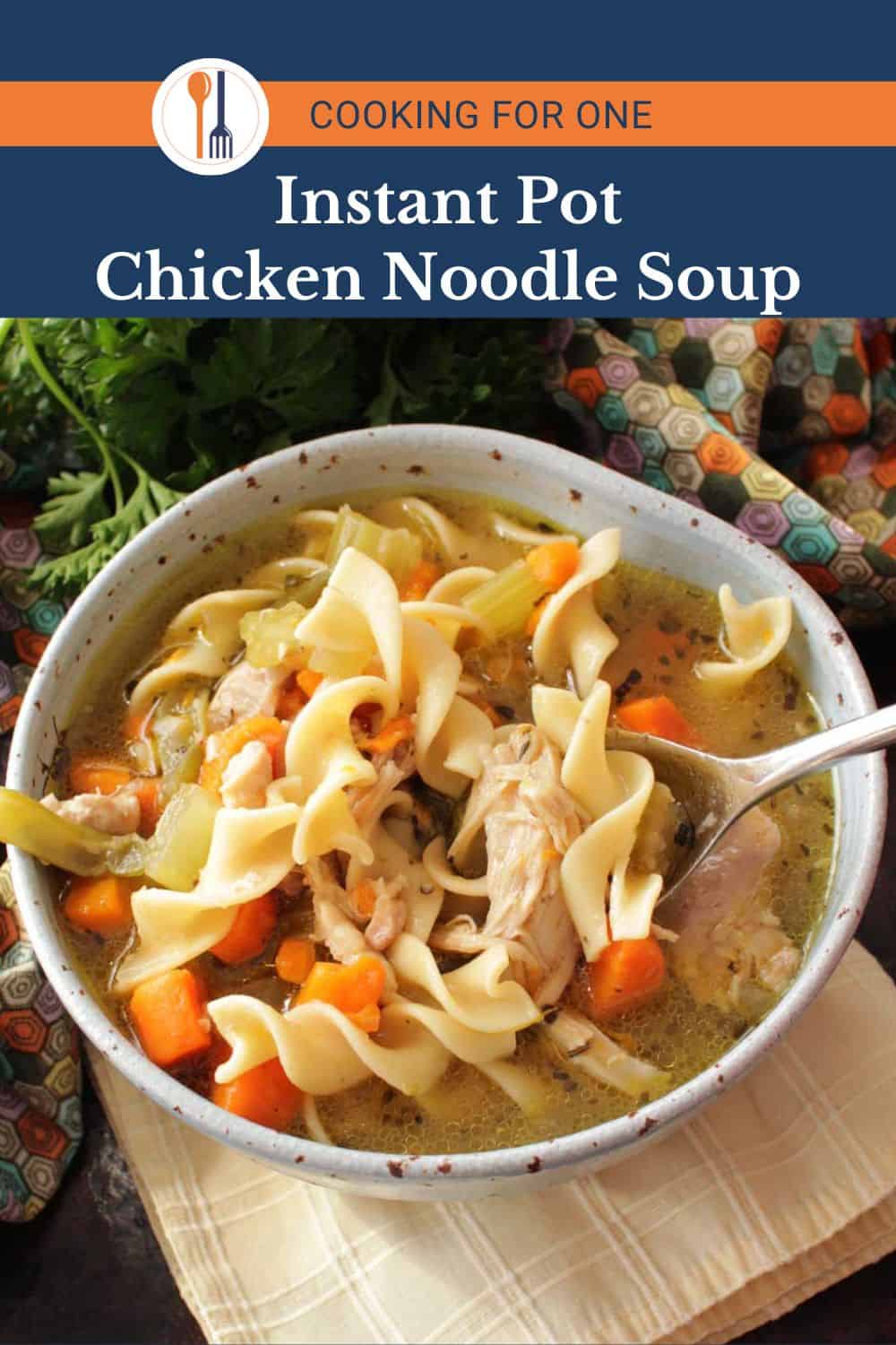 Instant Pot Chicken Noodle Soup Recipe - Single Serving - One Dish Kitchen