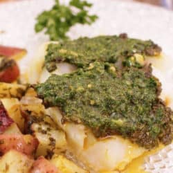 baked cod with sliced potatoes and chermoula on glass plate - promotion image