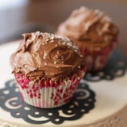 two chocolate cupcakes | one dish kitchen