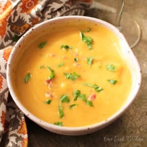 a single serving Instant Pot butternut squash soup in a bowl.