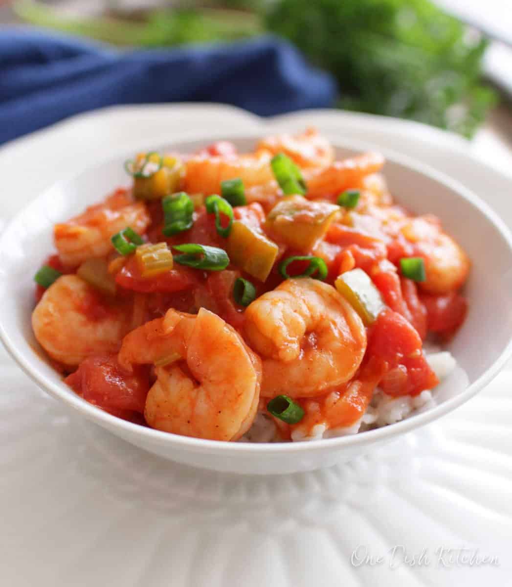 a bowl of shrimp creole with rice.