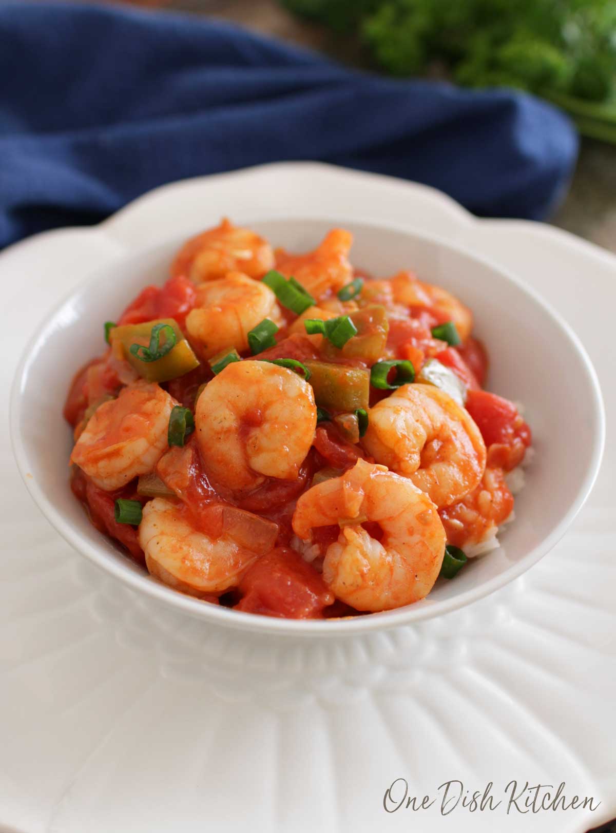 A bowl of shrimp creole over white rice.