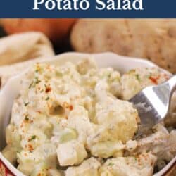a small bowl of potato salad next to a russet potato.