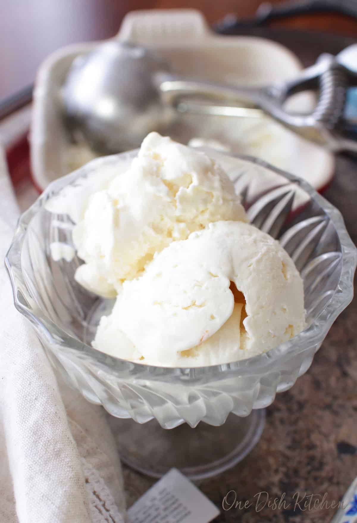 Vanilla Ice Cream Recipe | Single Serving | One Dish Kitchen