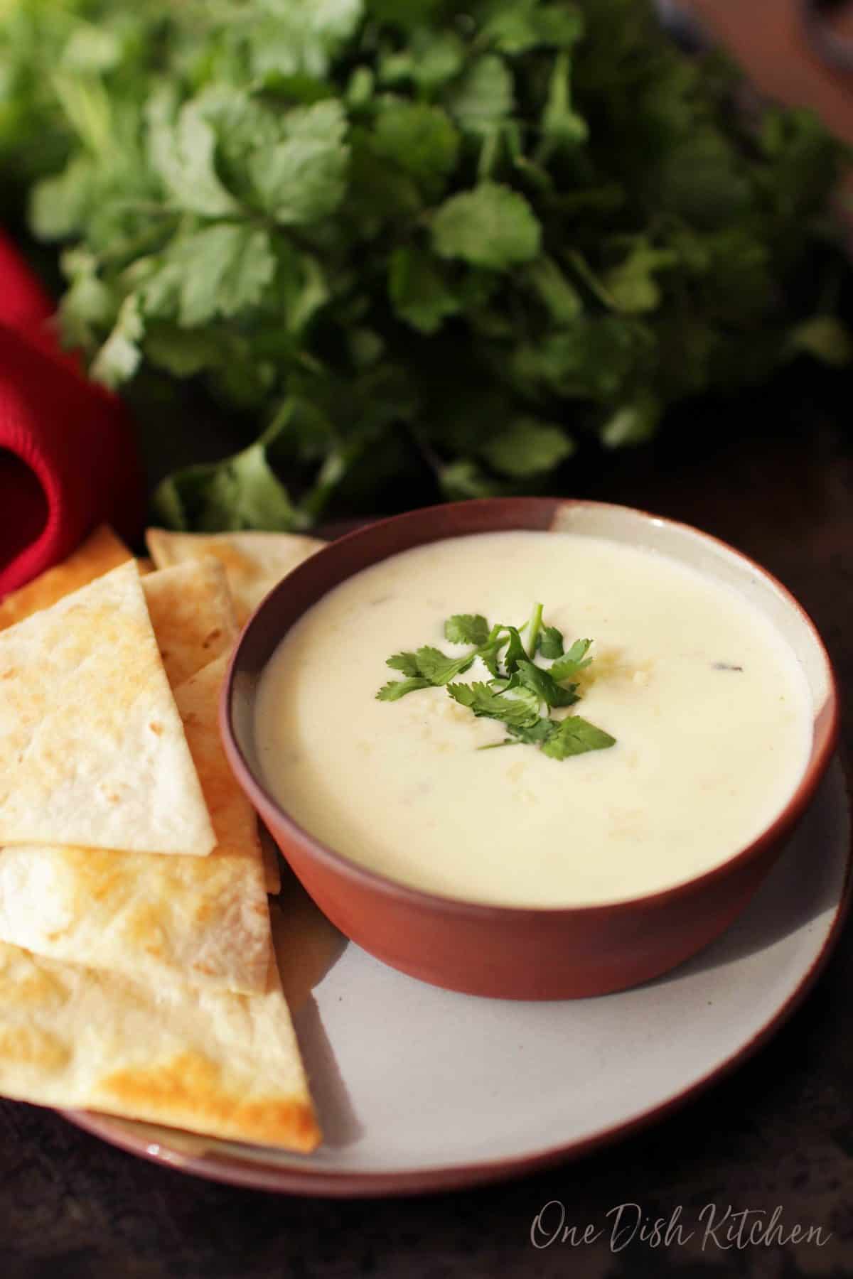 A small bowl of white queso on a plate with homemade tortilla chips.