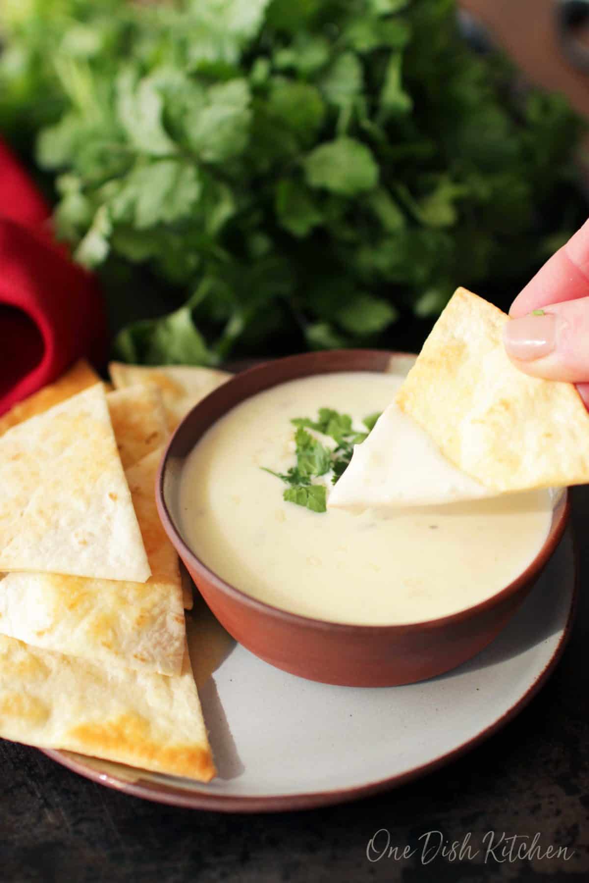 Dipping the edge of a homemade tortilla chip in a bowl of queso.