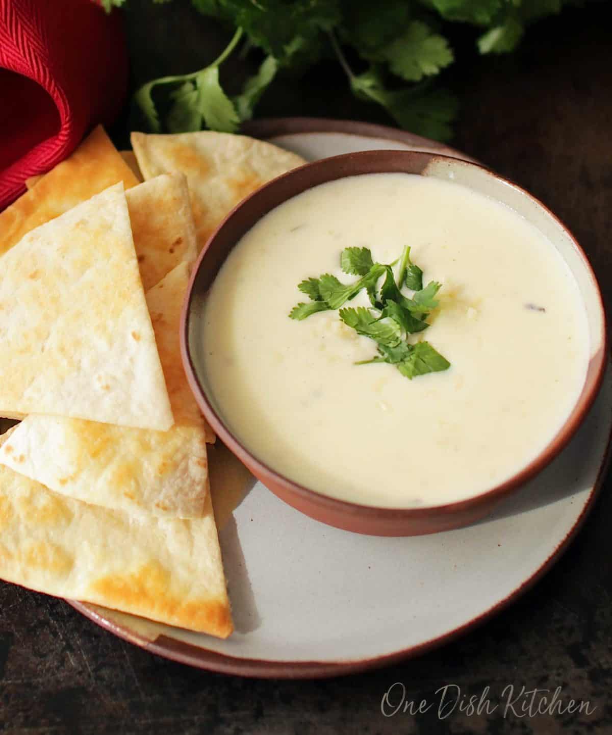 An overhead view of a small bowl of white queso on a plate with homemade tortilla chips.
