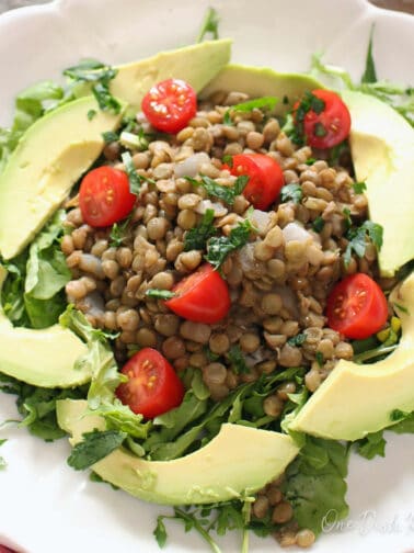 Lentil Soup For One - One Dish Kitchen
