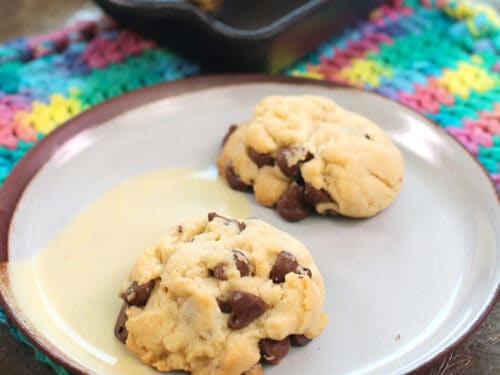 Small Batch Chocolate Chip Cookies - Life As A Strawberry