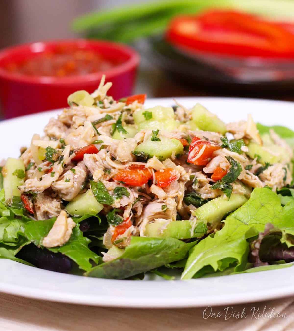 a poached chicken breast on lettuce with vegetables.