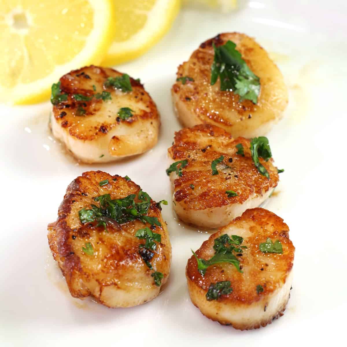5 pan seared scallops on a white plate next to lemon slices.
