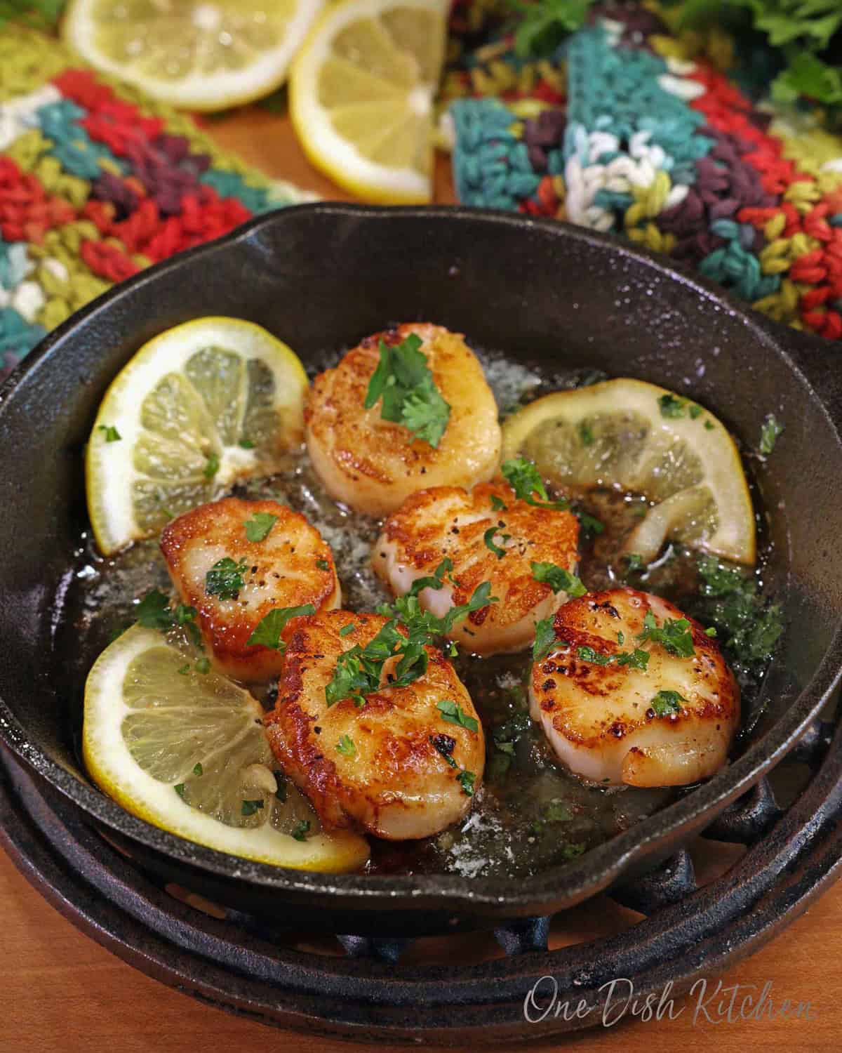 five pan seared scallops in a mini cast iron skillet next to sliced lemons and topped with chopped parsley.