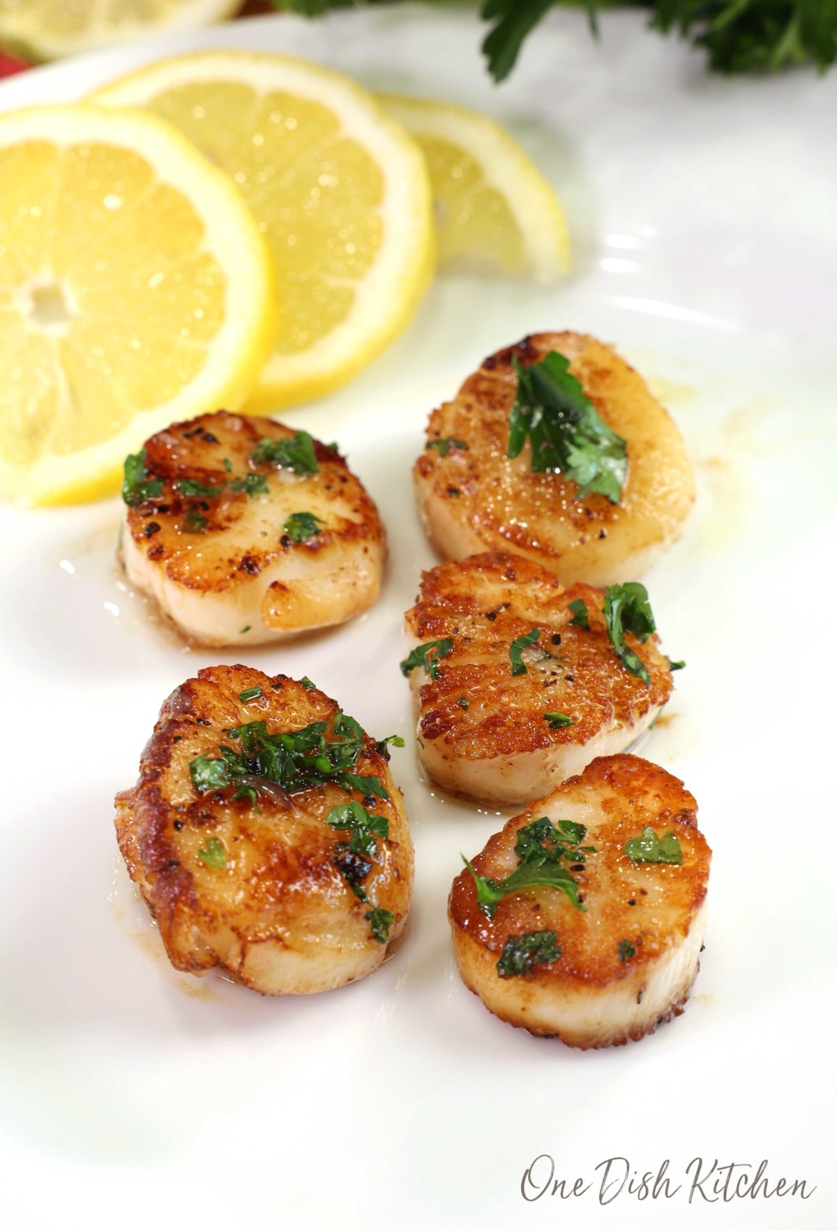 5 golden brown seared sea scallops on a white plate next three slices of lemons.