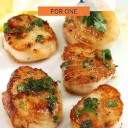 five seared scallops on a white plate surrounded by lemons.