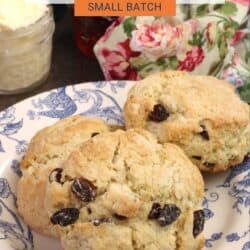 3 cream scones on a floral plate.