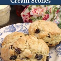3 cream scones on a floral plate.