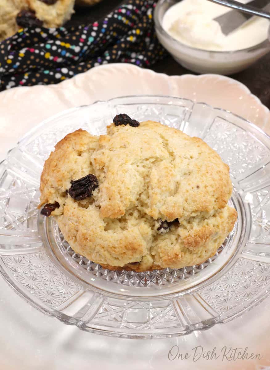 one cream scone with raisins on a plate.