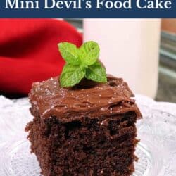 a slice of devil's food cake on a white plate.
