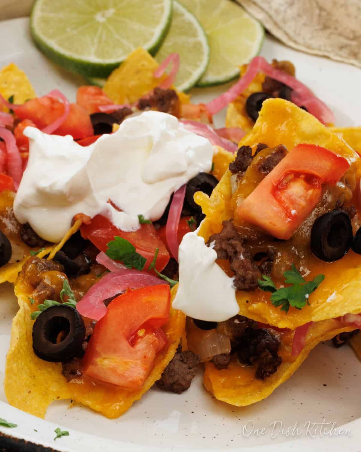 loaded nachos with tomatoes and cheese on a white plate.